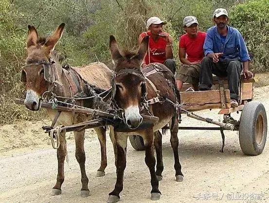 比房价涨幅还好的东西,比房价涨的还快的东西