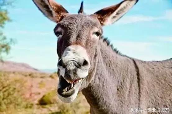 比房价涨幅还好的东西,比房价涨的还快的东西