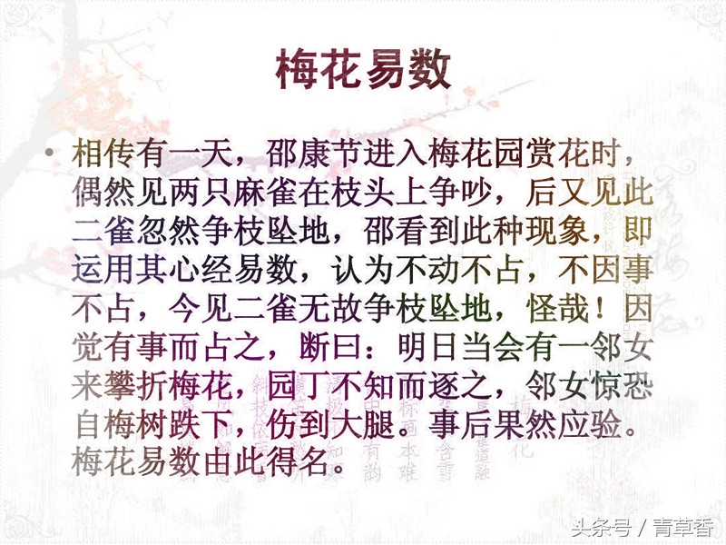 梅花解卦如何收费,梅花解卦什么意思