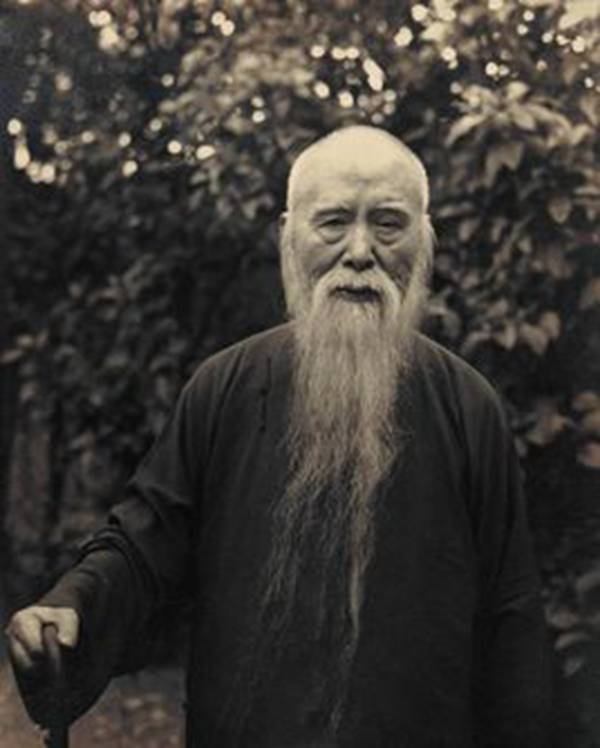 每日花语杜鹃花,每日花语波斯菊