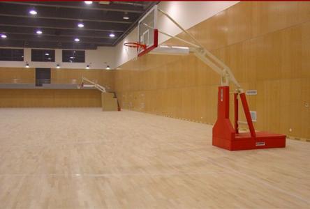 平顶山要新建大型体育场，规模堪比北京鸟巢