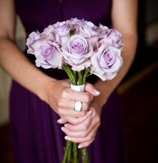 发烧友必入的蓝紫色月季,蓝紫色月季最值得入手的一款