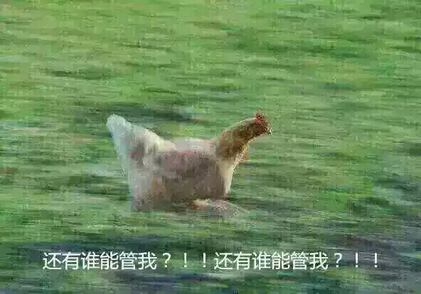 老师一些令人无语的行为，可算是见识了！