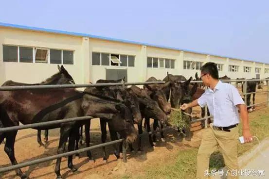 比房价涨幅还好的东西,比房价涨的还快的东西