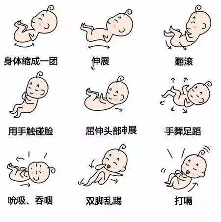 愤怒！医生渎职酿悲剧，孕妈一定要懂得胎动常识