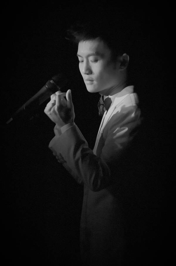 每日花语杜鹃花,每日花语波斯菊