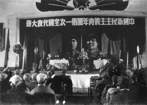 每日花语杜鹃花,每日花语波斯菊