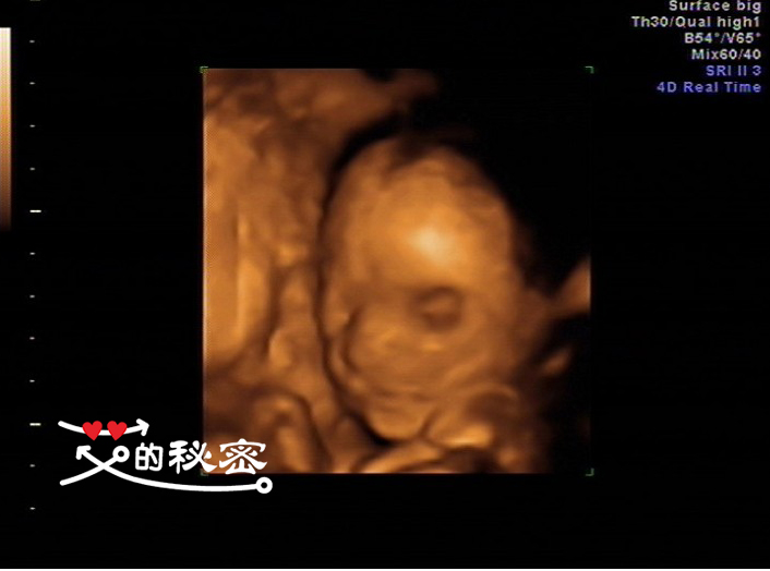 四维空间神秘事件,揭秘四维的存在