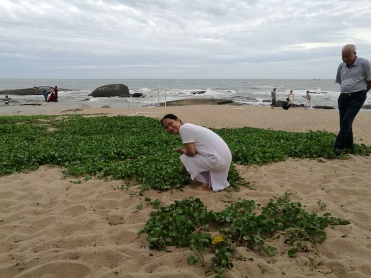 浪在枕边海在眼前——海南三亚行