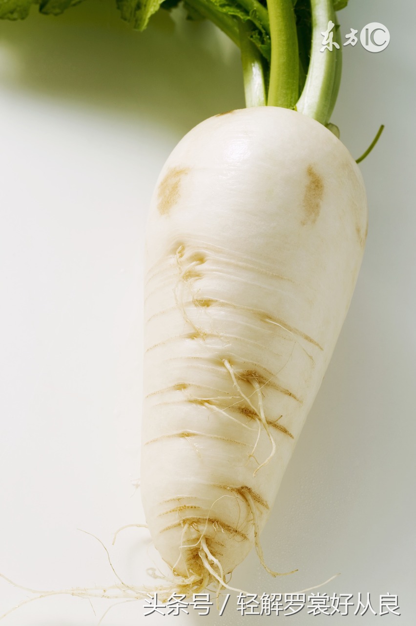 你不知道的冷知识钢琴曲,你不知道的冷知识音质