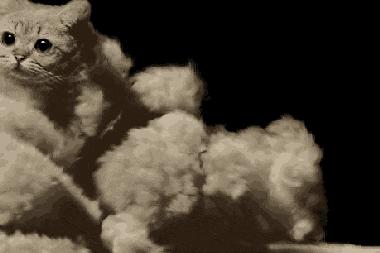 贴心女友的暖心举动,贴心女朋友该做的事