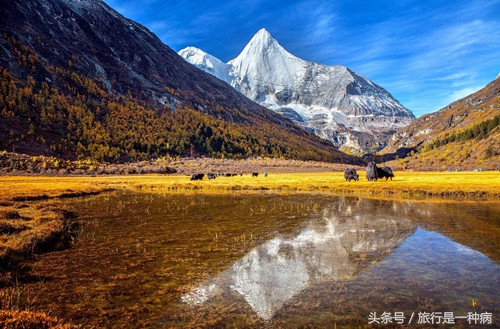 泸沽湖到稻城亚丁自驾游攻略,稻城亚丁环线自驾游攻略