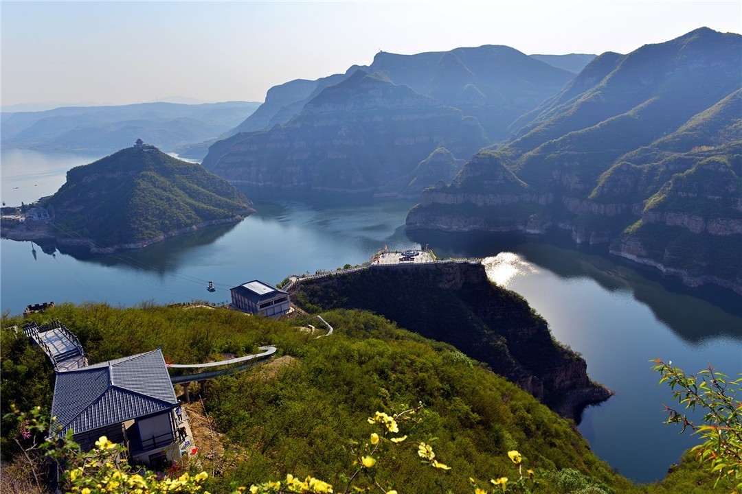 新疆的野玫瑰植物,济源野玫瑰花