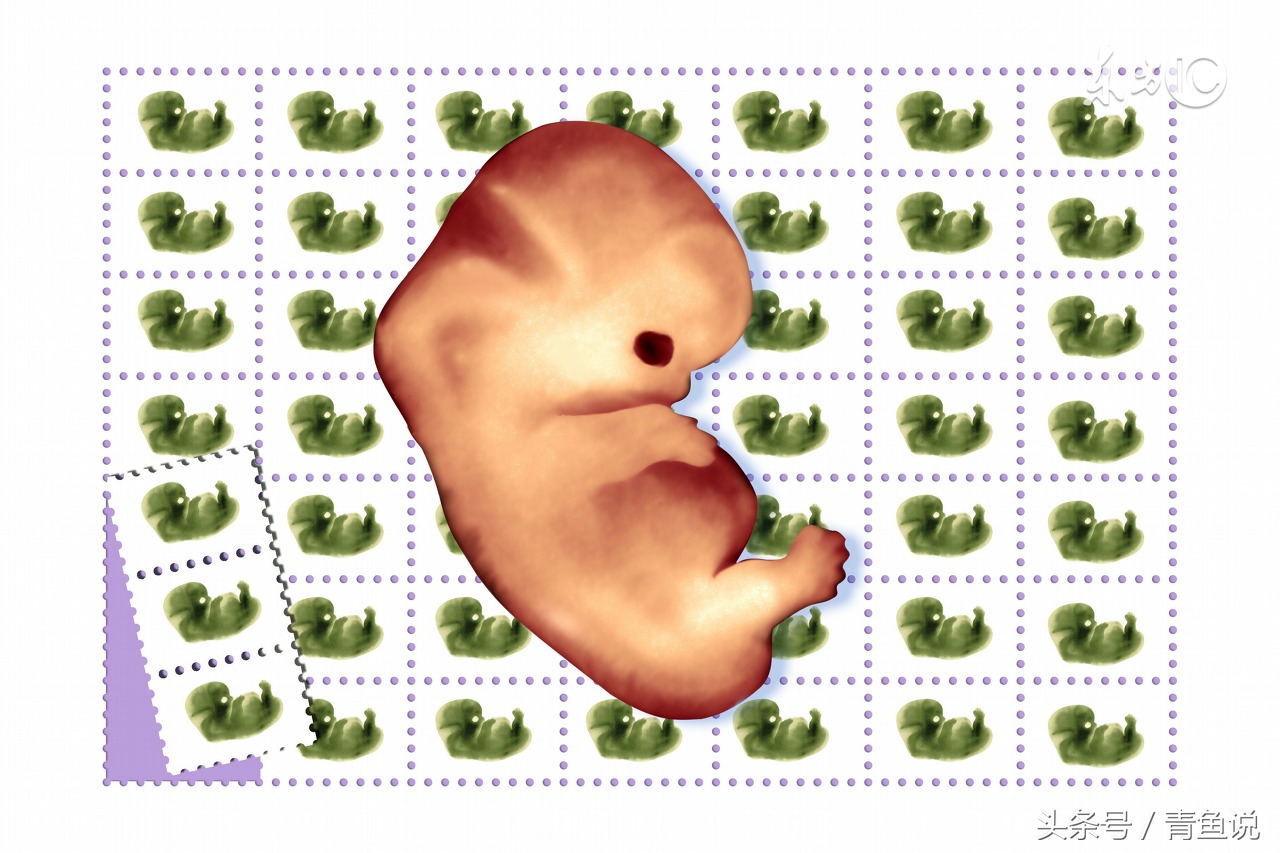 宝宝在肚子里发育是否正常？了解胎儿的变化全过程！