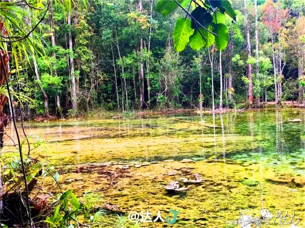 显然不适合玩婚内出轨！全泰国最大的泳池原来在这里