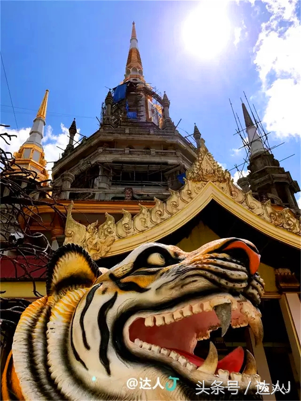 显然不适合玩婚内出轨！全泰国最大的泳池原来在这里