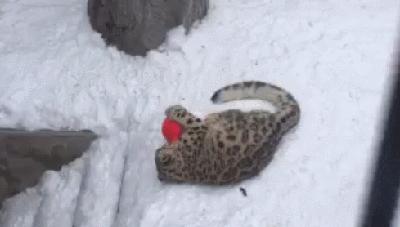 情侣小游戏恐怖版,情侣之间千万不能玩的小游戏