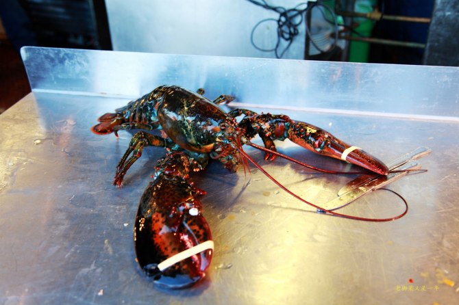 心在路上中文版,心在路上完整版教程