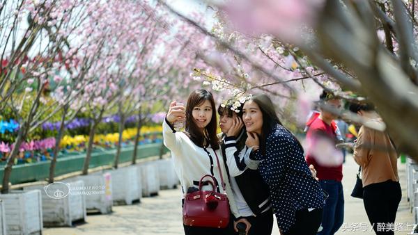 观澜湖空中墅设计图,观澜湖实景演艺