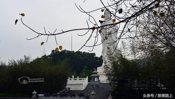 观澜湖空中墅设计图,观澜湖实景演艺