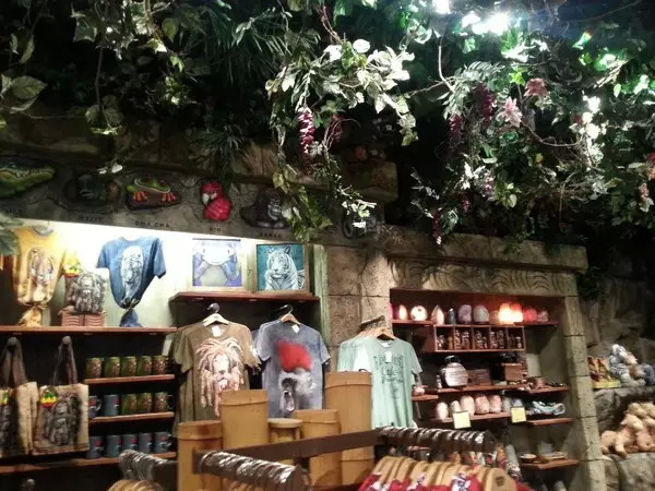 美国奥兰多攻略,奥兰多小镇自由行热门攻略