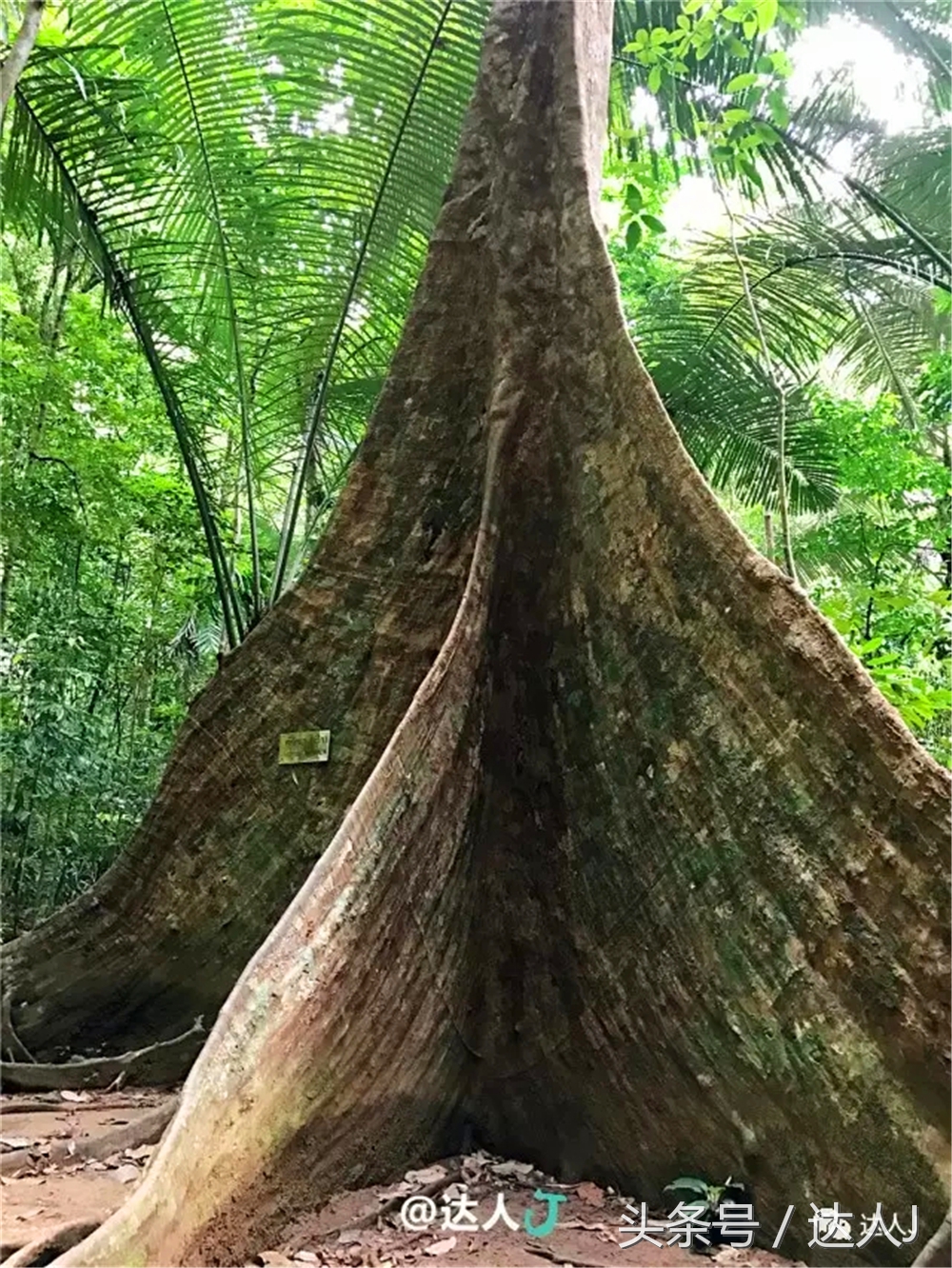 显然不适合玩婚内出轨！全泰国最大的泳池原来在这里