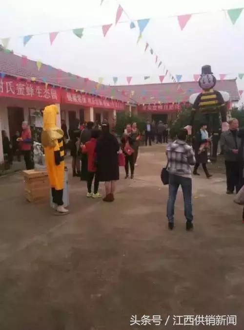 新余仙蜂合作社：发展甜蜜事业，供销社是“蜂王”