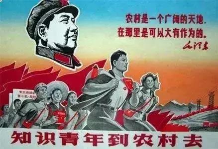 刘强东梦想当村长完整,刘强东梦想当村长