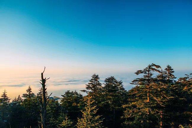 峨眉山一日观金顶日出吃住行攻略,峨眉山吃住行全攻略