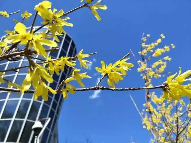 林志玲360无死角是真的美,全球最美360无死角的美女