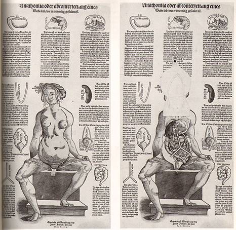 到头方信鬼无皮│左图右史