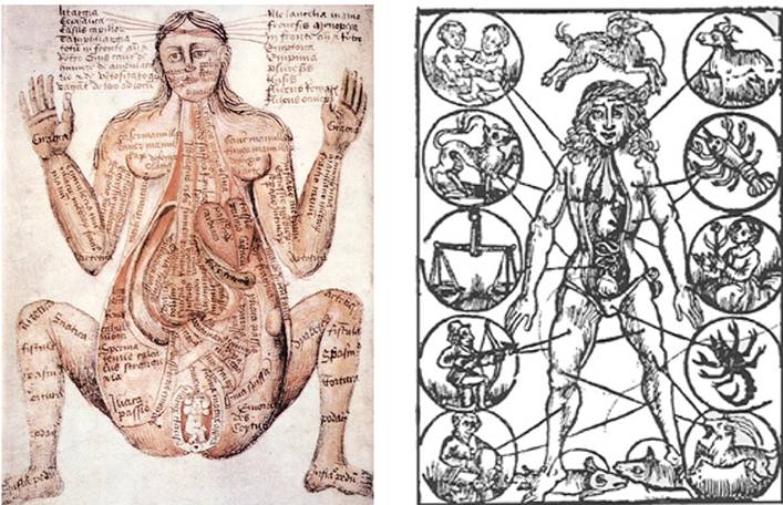 到头方信鬼无皮│左图右史