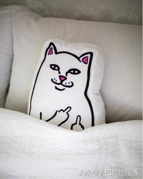 潮牌最强王者，不要再怂了！不如让这只贱猫帮你出头！