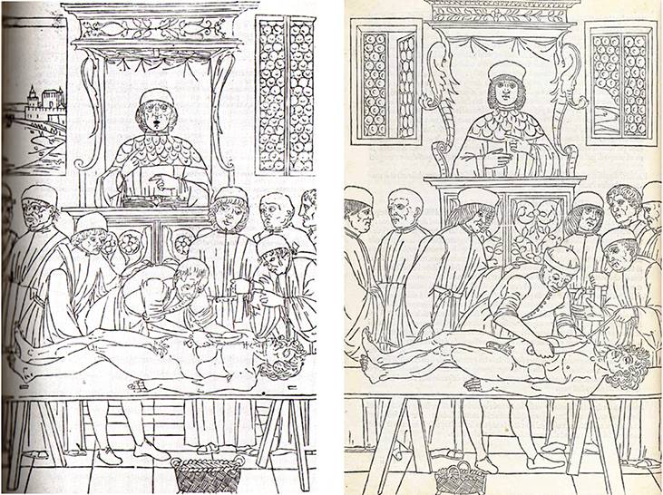 到头方信鬼无皮│左图右史