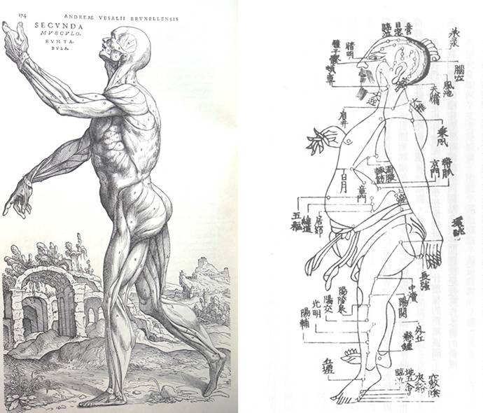 到头方信鬼无皮│左图右史