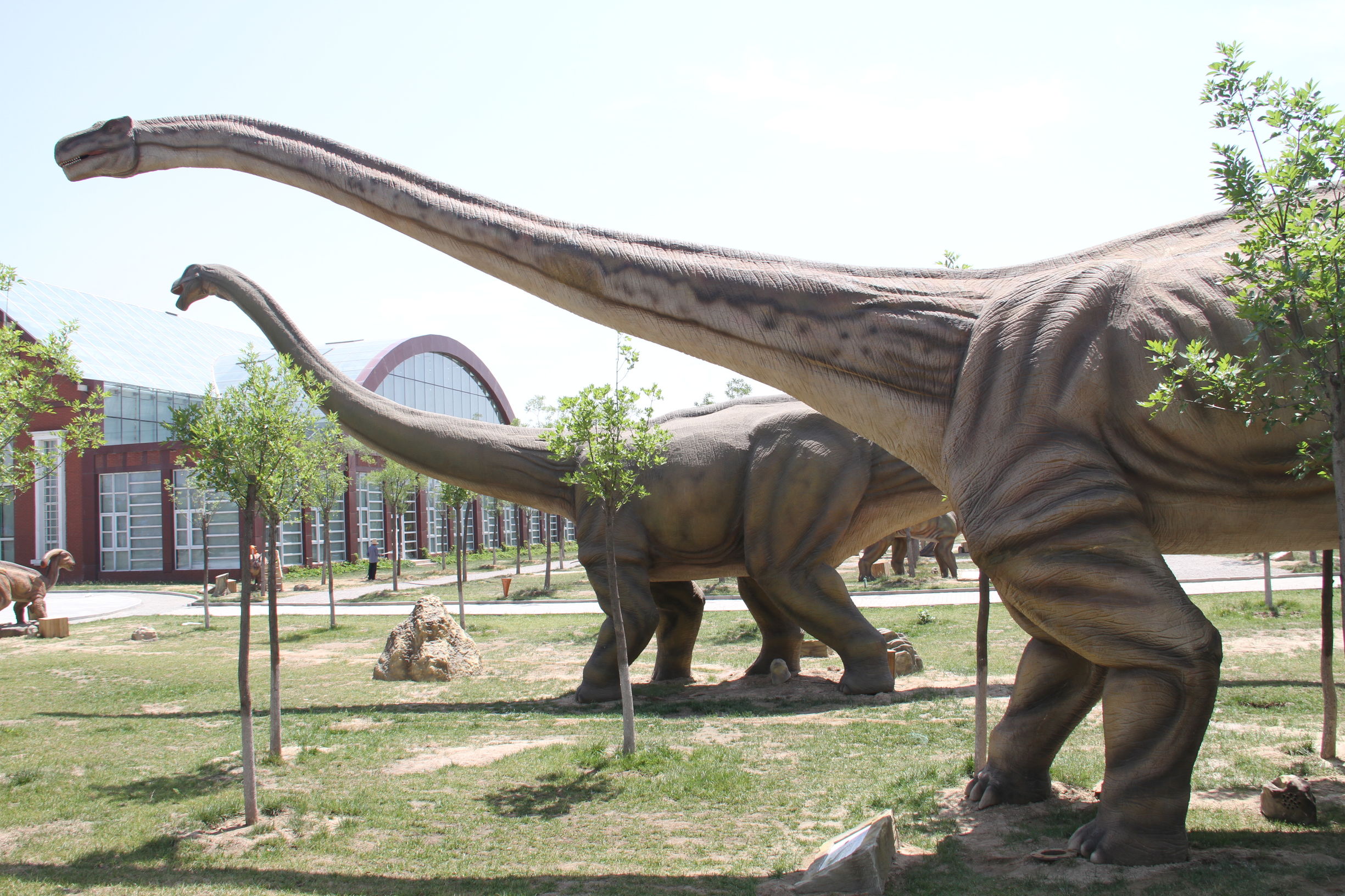 天津光合谷温泉酒店,天津光合谷公园地址