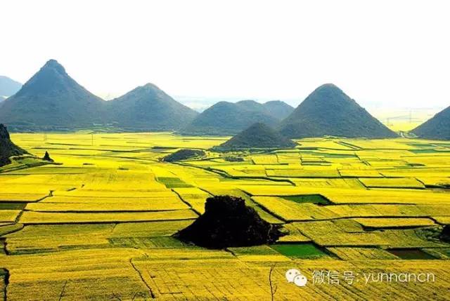 大理人怎么在大理旅游,大理人出游一般去哪里