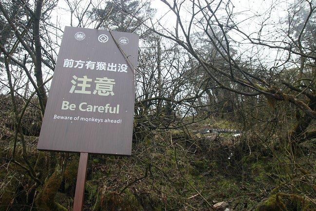 峨眉山一日观金顶日出吃住行攻略,峨眉山吃住行全攻略