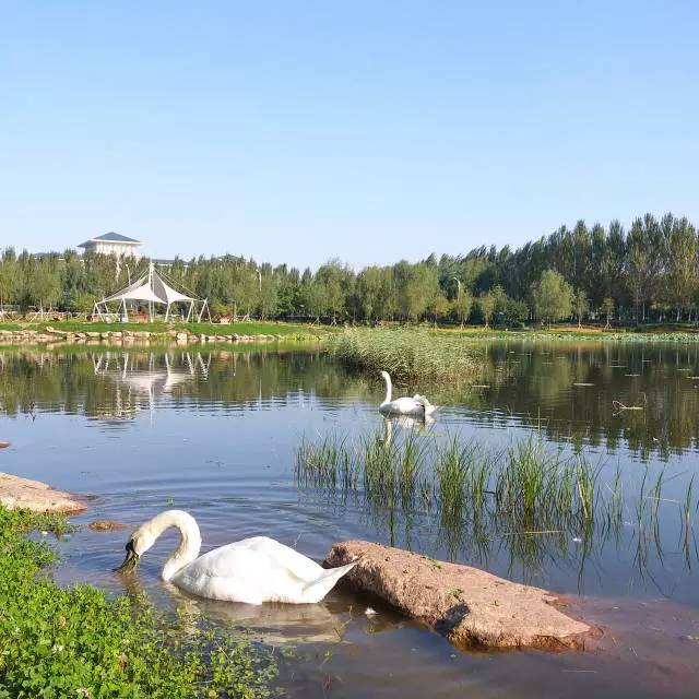 林志玲360无死角是真的美,全球最美360无死角的美女