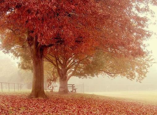 史上最完整的芦荟胶使用大全，正在用芦荟胶的你还不点进来看下