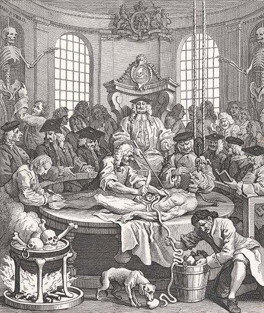 到头方信鬼无皮│左图右史