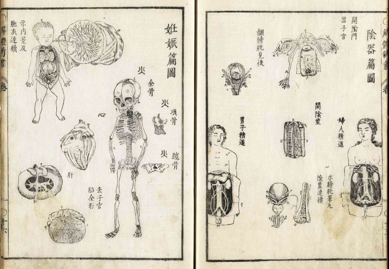 到头方信鬼无皮│左图右史