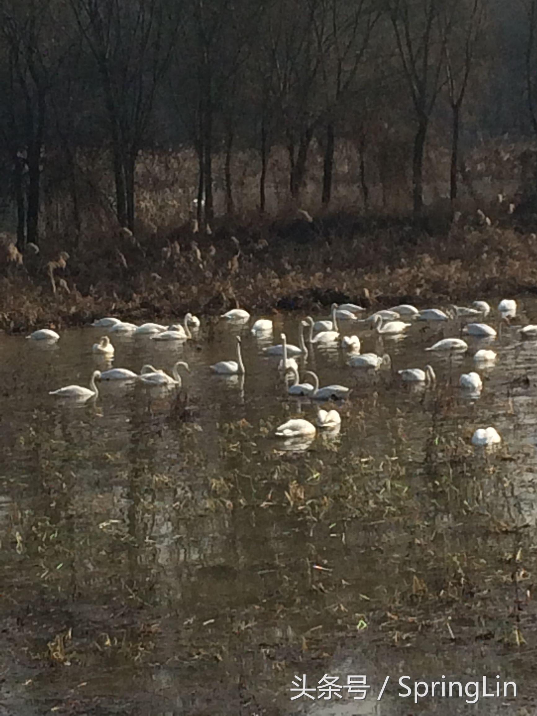 三门峡豫西大峡谷旅游攻略,豫西三门峡全景图