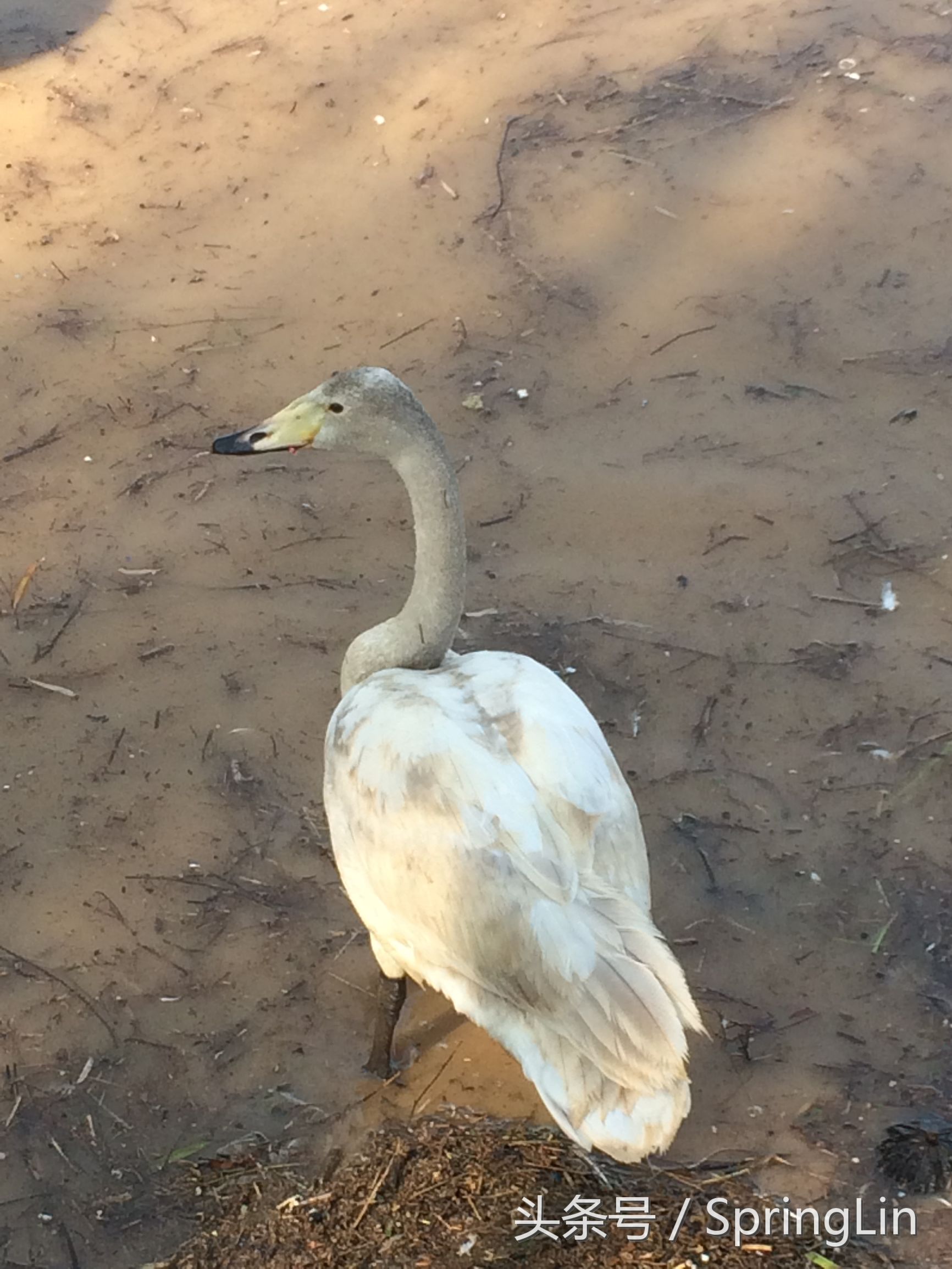三门峡豫西大峡谷旅游攻略,豫西三门峡全景图