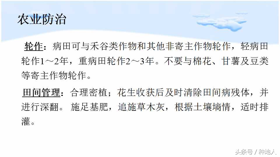 已经开始种花生了怎么种,马上要种花生了
