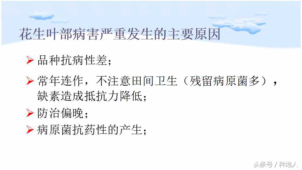 已经开始种花生了怎么种,马上要种花生了