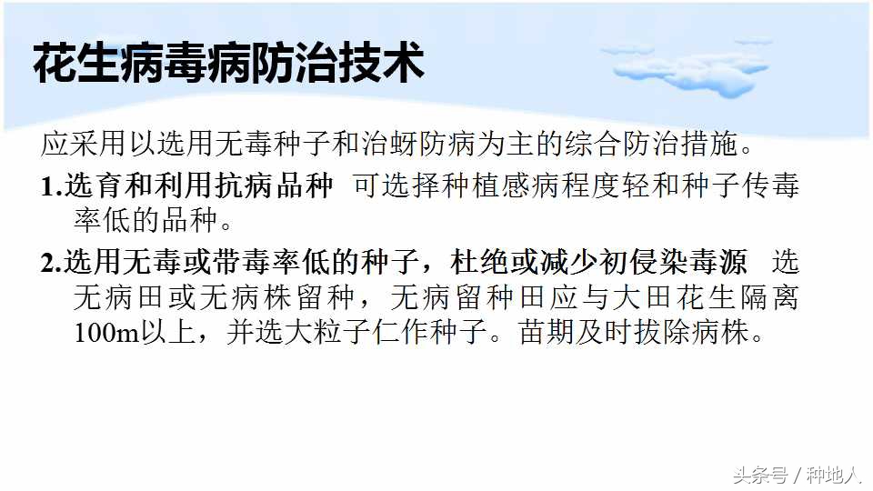 已经开始种花生了怎么种,马上要种花生了