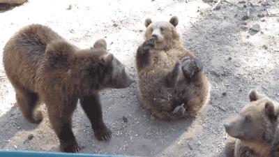 博君一笑回顾,博君一笑超燃剪辑