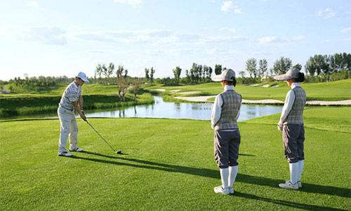 高尔夫的打法和规则,容错性最好的铁杆高尔夫
