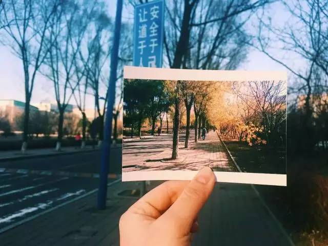 林志玲360无死角是真的美,全球最美360无死角的美女